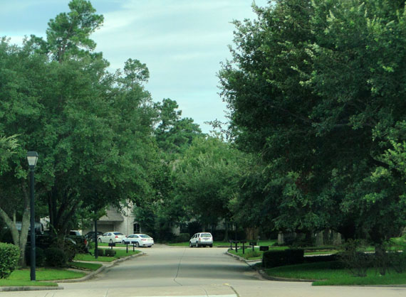 hurricane harvey aftermath