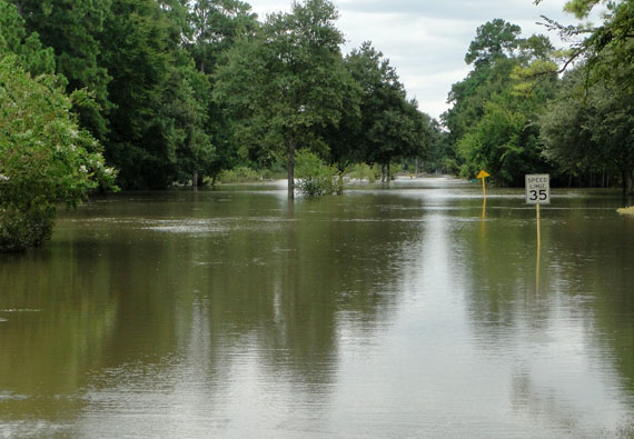 hurricane harvey aftermath