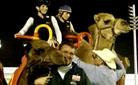 camel-race