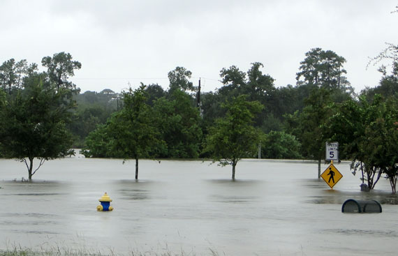 hurricane harvey