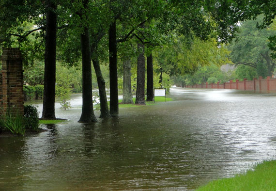 hurricane harvey