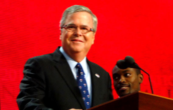 jeb bush