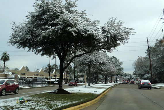 snow texas